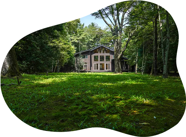 導入実績イメージ